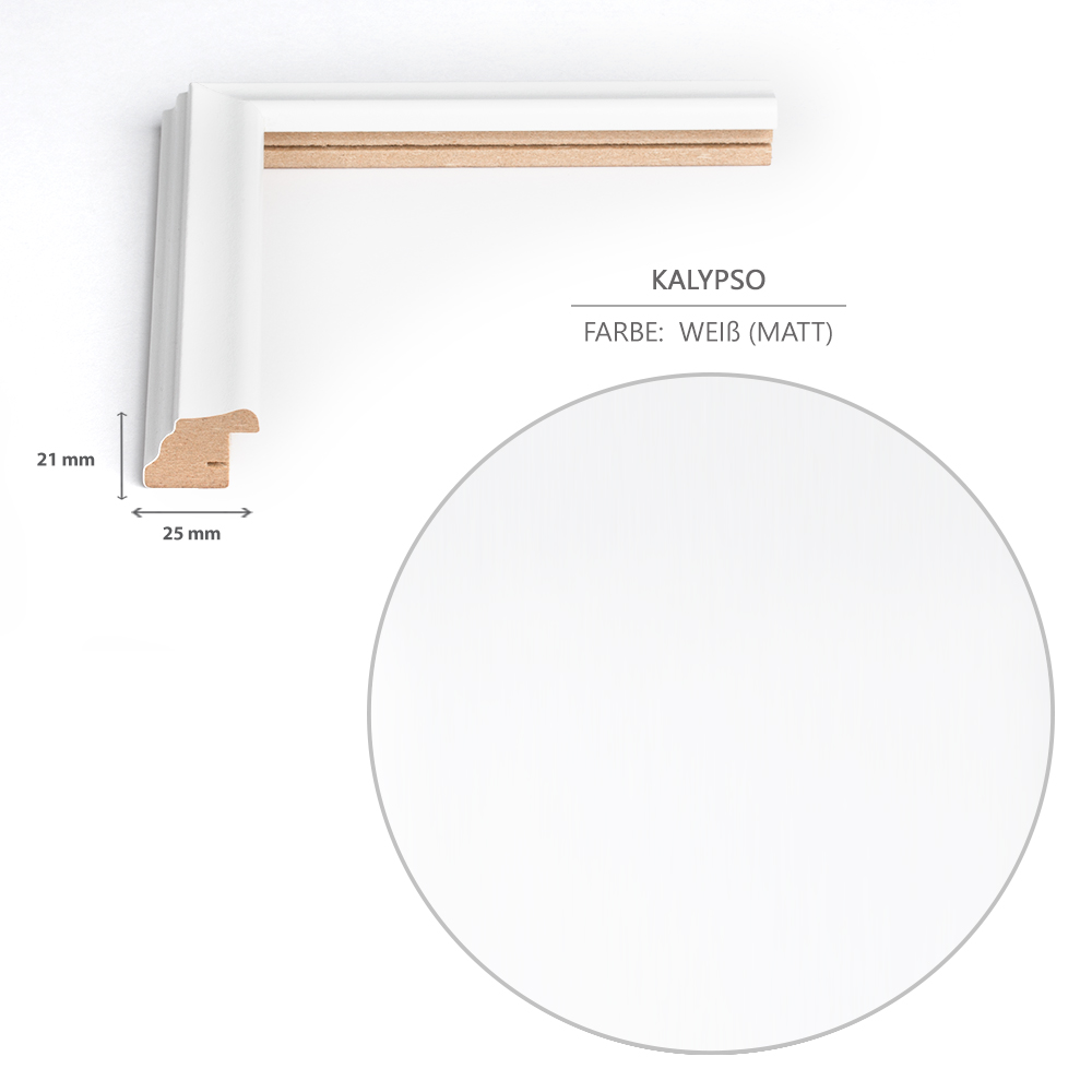 Bilderrahmen Rahmen Kunst Kalypso Barock in 8 Farben DIN